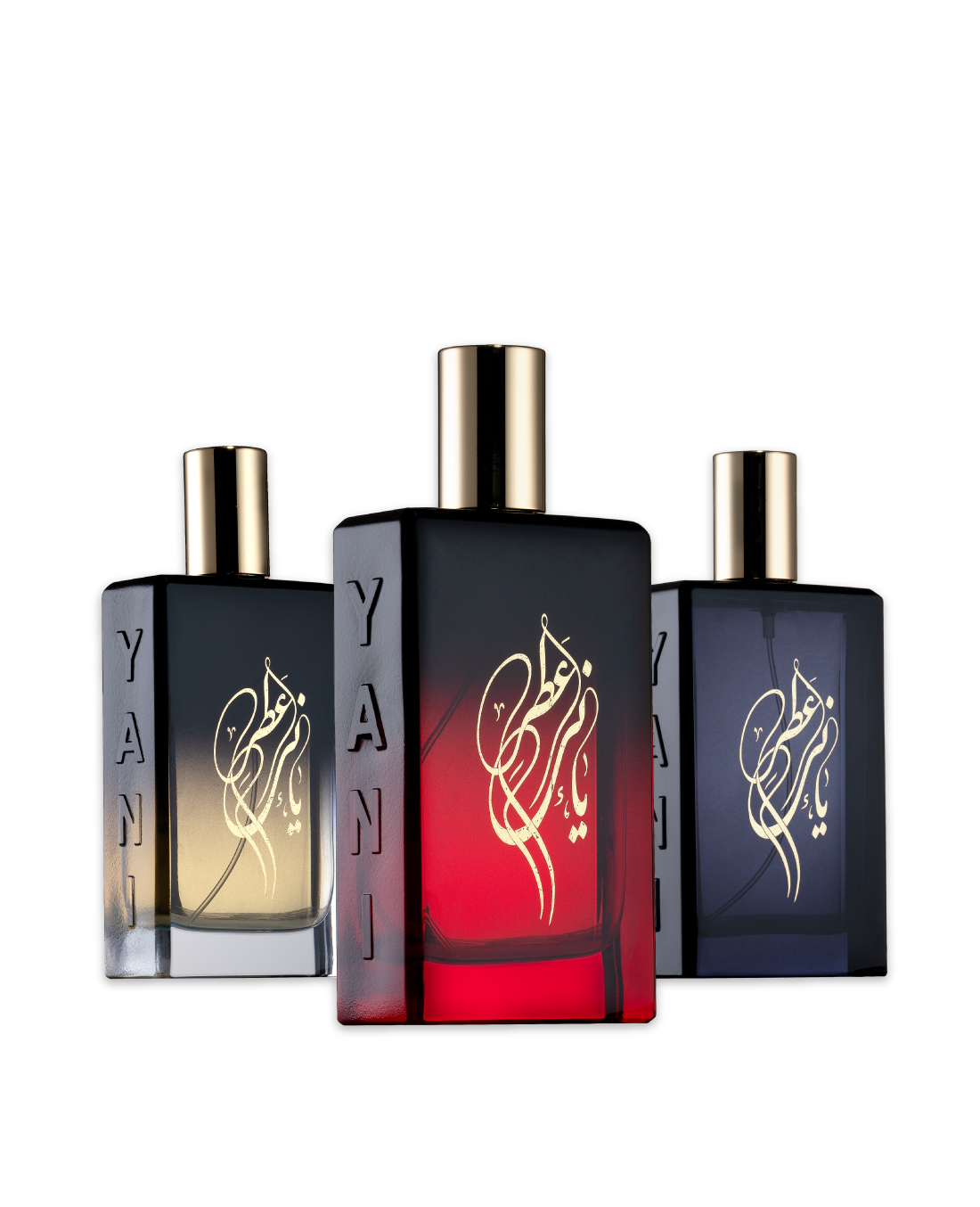 کالکشن خلیج فارس